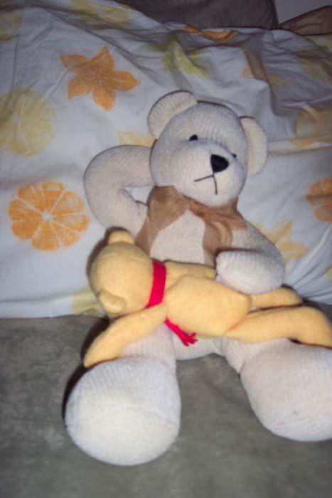 Drunken Bear 02.jpg