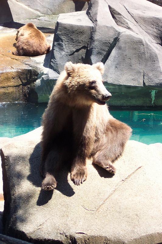 Columbia Zoo 01.jpg