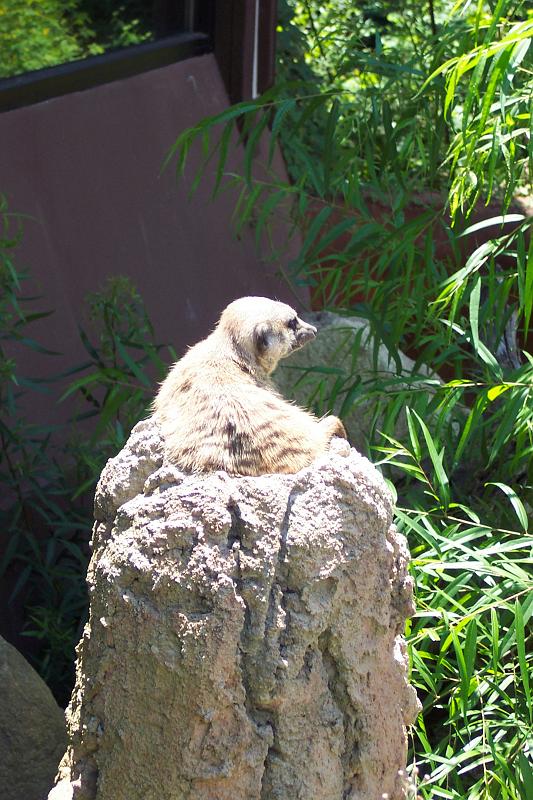 Columbia Zoo 03.jpg
