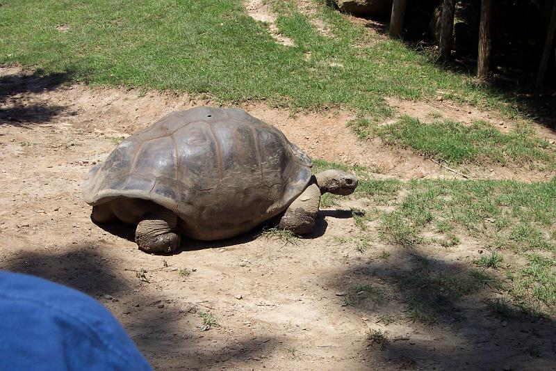 Columbia Zoo 05.jpg