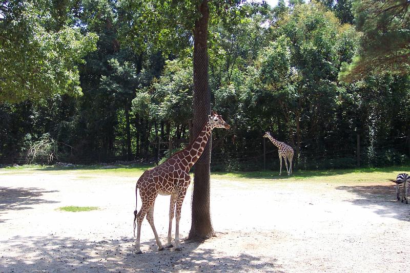 Columbia Zoo 07.jpg