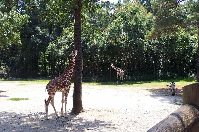 Columbia Zoo 08.jpg