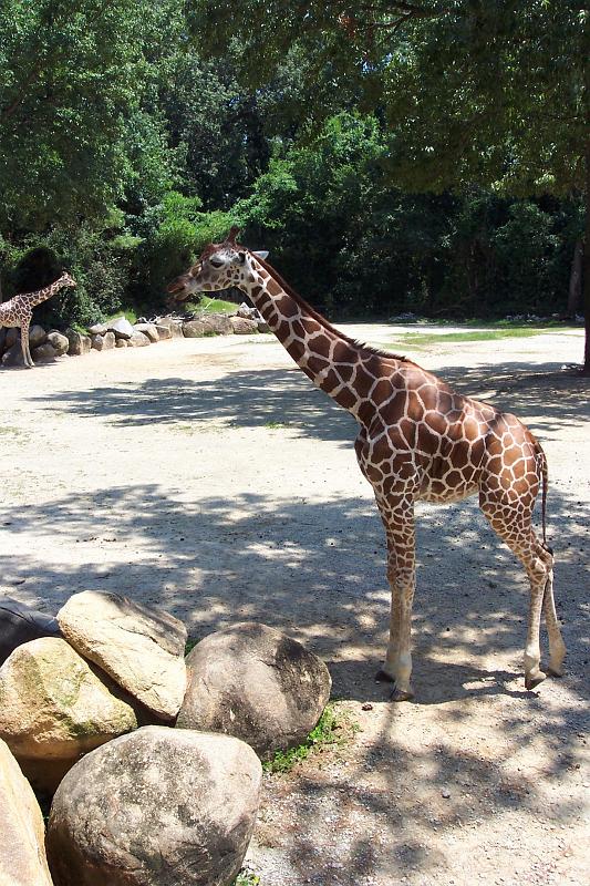 Columbia Zoo 09.jpg