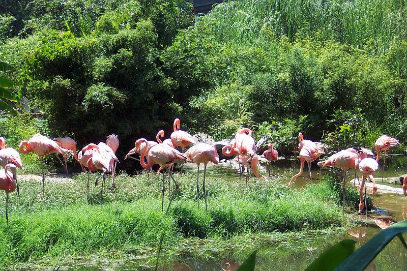 Columbia Zoo 10.jpg