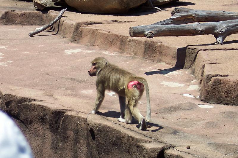 Columbia Zoo 11.jpg
