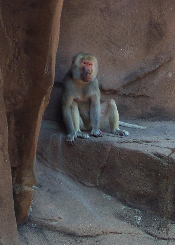 Columbia Zoo 12.jpg