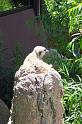 Columbia Zoo 03