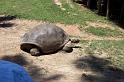 Columbia Zoo 05
