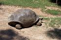 Columbia Zoo 06