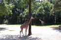 Columbia Zoo 07