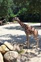 Columbia Zoo 09