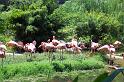Columbia Zoo 10