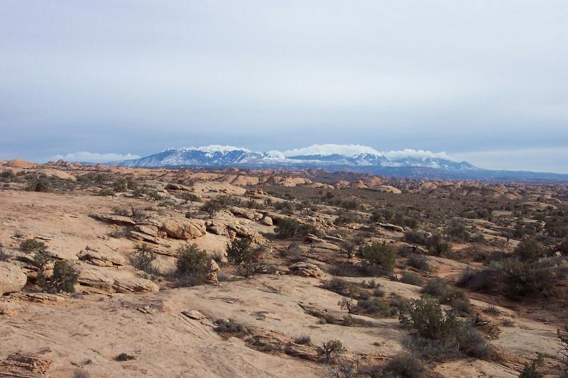 Arches - Petrified Dunes.jpg
