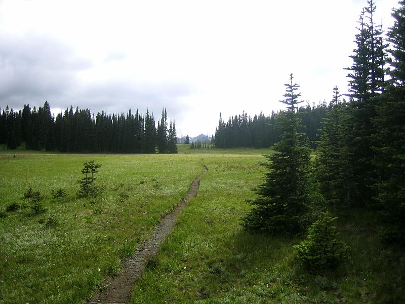010.jpg