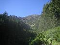 (09) Hurricane Ridge