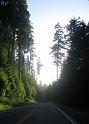 (26) Hurricane Ridge