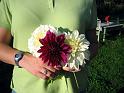 (12) Wedding Colors