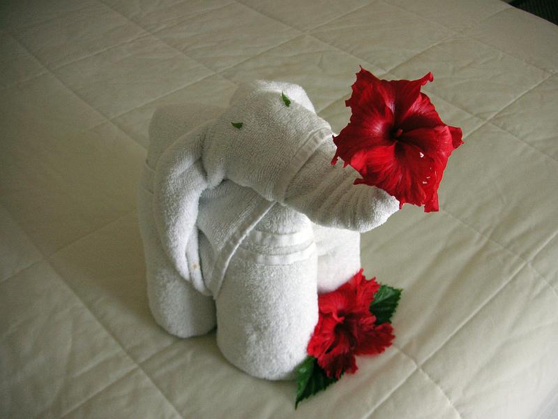 (05) First Towel Creature.jpg - KONICA MINOLTA DIGITAL CAMERA