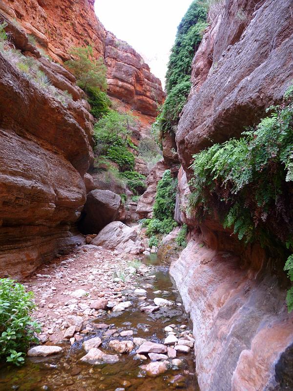 (105) Saddle Canyon.jpg
