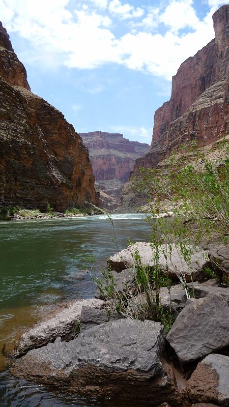 (258) Upstream from Havasu Creek.jpg