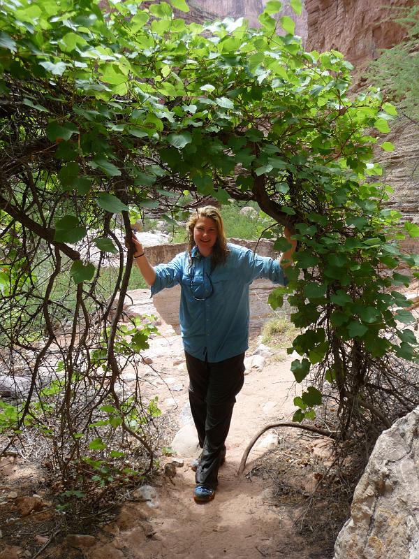 (278) Tiff at Havasu Creek.jpg