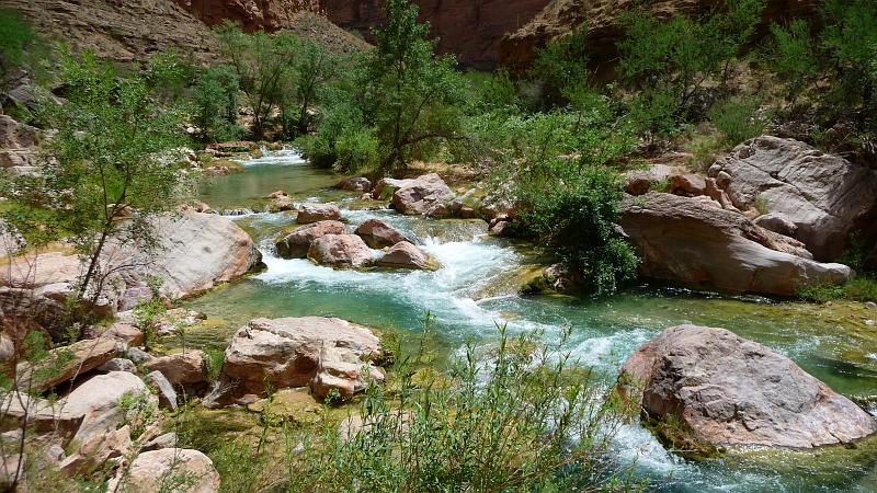 (280) Havasu Creek.jpg