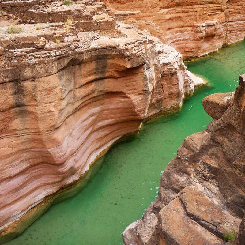 (292) Havasu Creek.jpg