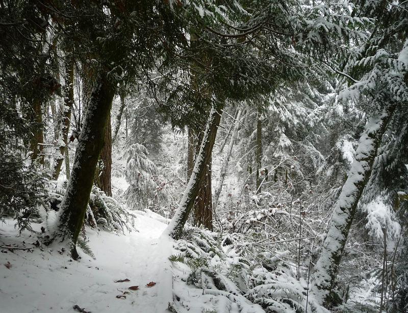 (16) Trails Behind the House.jpg