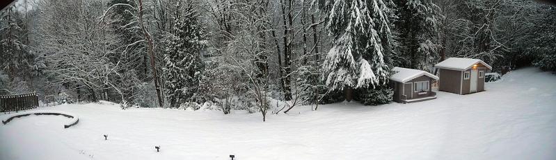 (20) Back Yard.jpg