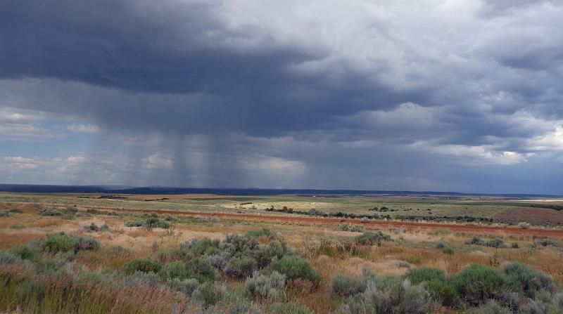 (005) Afternoon Storms.jpg