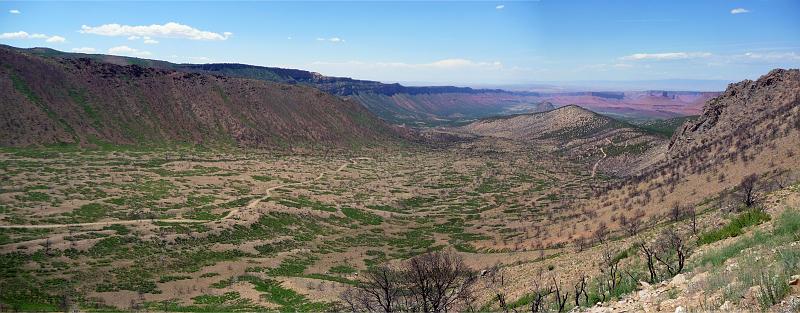 (116) La Sals.jpg