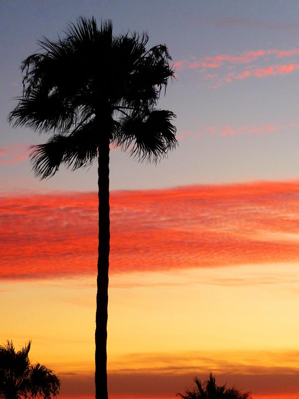 (09) Oceanside Sunset.jpg