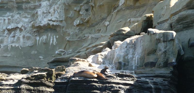 (18) La Jolla Sea Caves.jpg