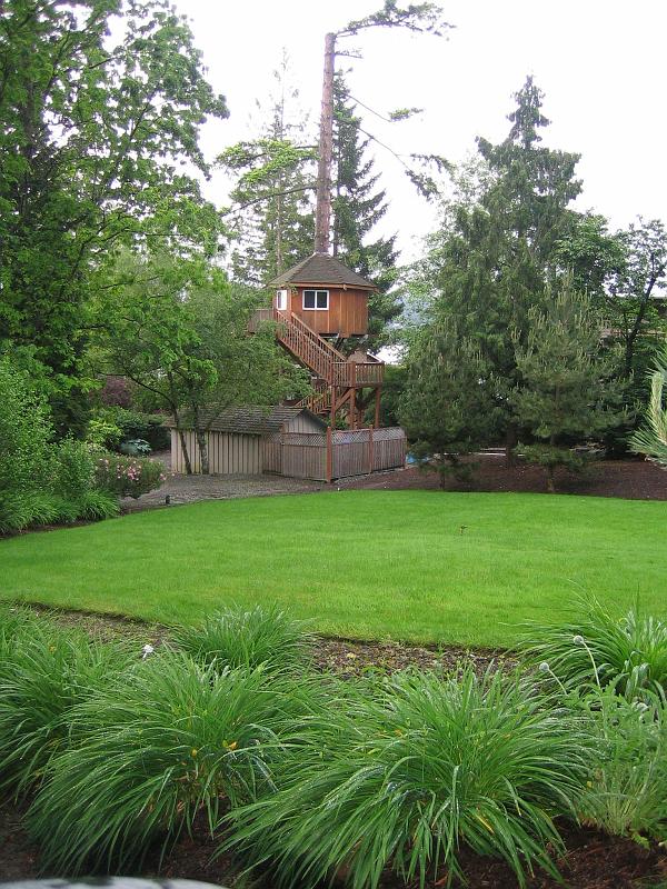 Tree House.jpg